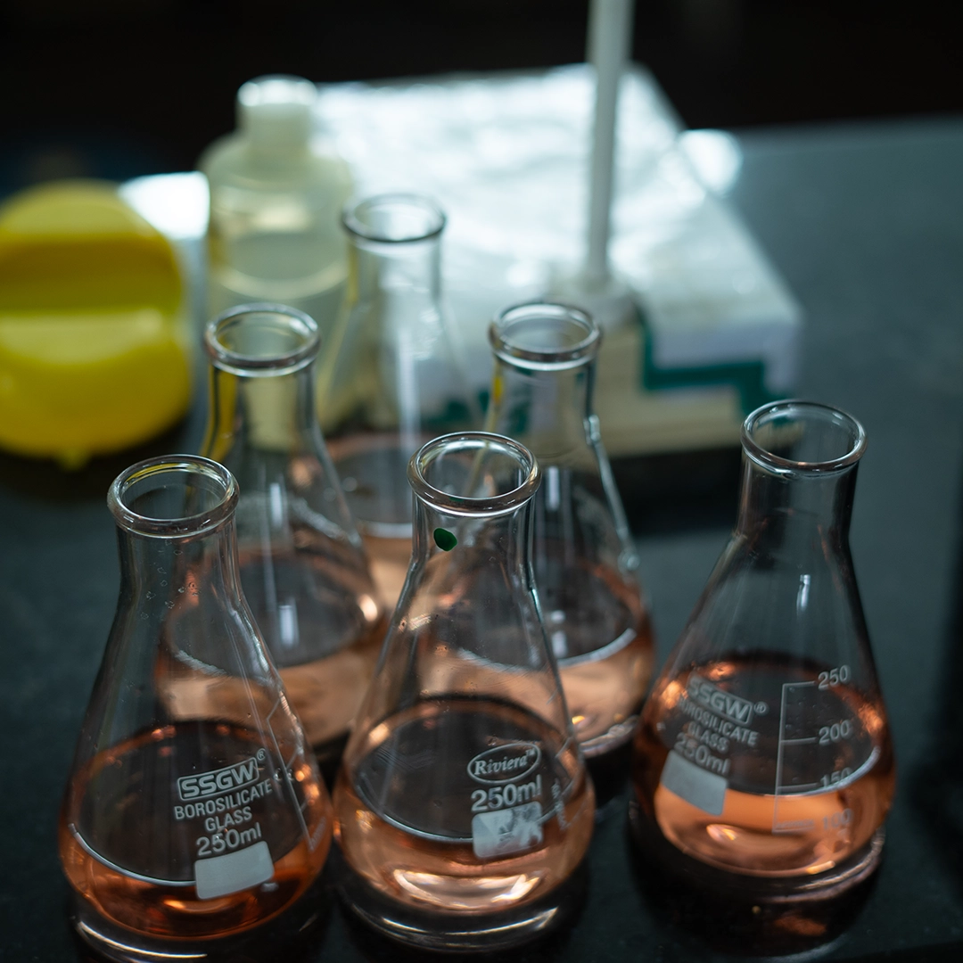 Microscopic soil analysis